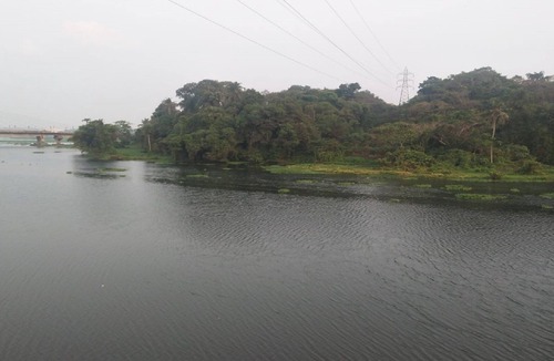 Kakkanad Villa | Inside the CITY but village atmosphere, calm and serene, opens to the river