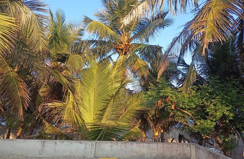 Tranquebar House | ISMA beach house