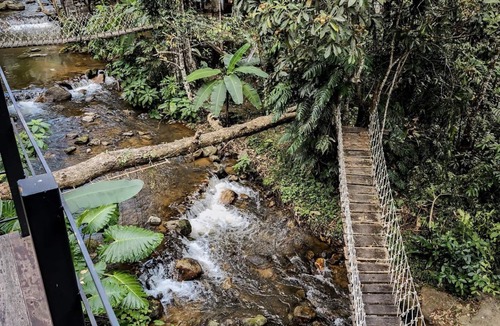 Doi Saket Cabin | Jungle Glass Box Waterfall View