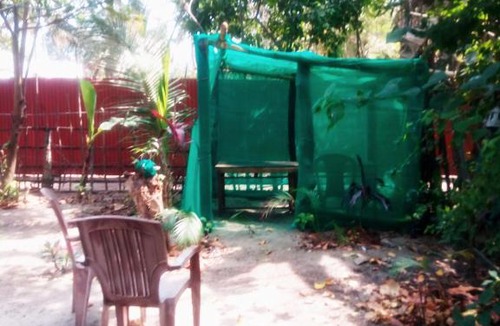 Alappuzha Hotel | Kadalamma Beach Homestay