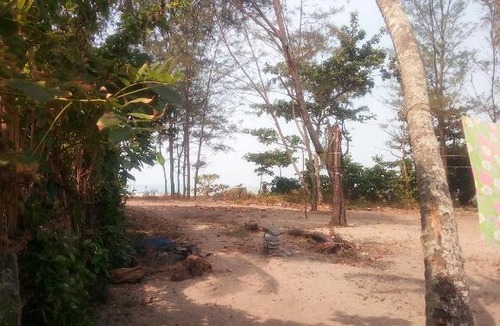 Alappuzha Hotel | Kadalamma Beach Homestay