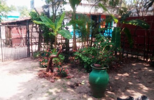 Alappuzha Hotel | Kadalamma Beach Homestay