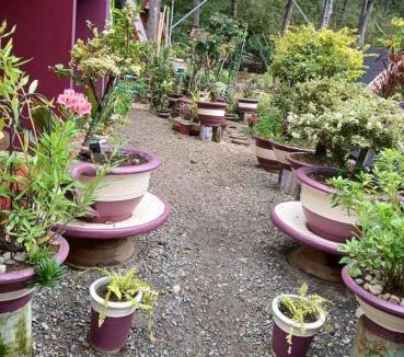 Sagada House | Kampo De Christina Lodge