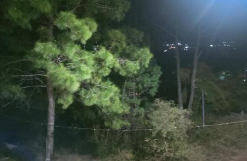 Kuthar House | Kasauli Night