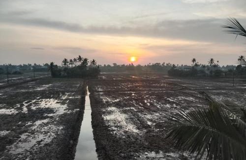Alappuzha Hostel | Kathoo's Lakeview Homestay