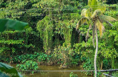 Anchal Villa | Kerala Heritage Villa