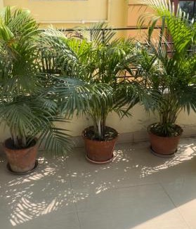 Bolpur House | KHOLA HAWA GUEST HOUSE
