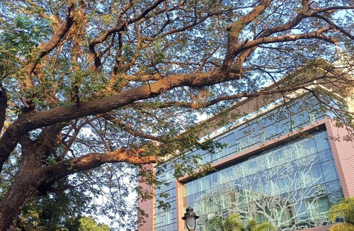 Panaji Apartment | Kinara 3 BHK Apartment Miramar