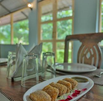 Udaipur District House | KP Group of Hotel - RAM BAGH Udaipur