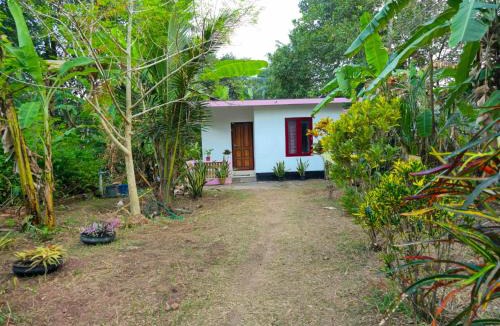 Varkala House | La ixora