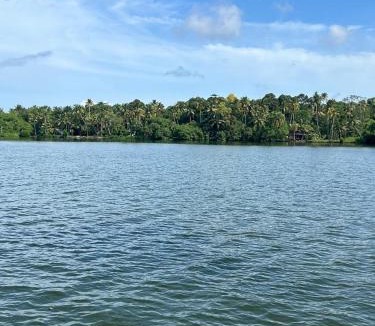 Thekkumbhagam Resort | Lavilla Lake Resort And Restaurant