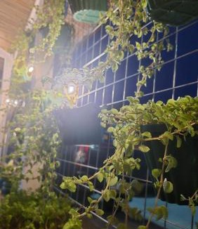 San Francisco Hostel | Lucy's Diner Hostel Cafe