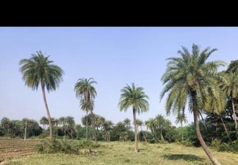 Rau House | M se maati village stay