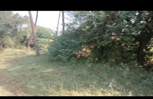 Rau House | M se maati village stay