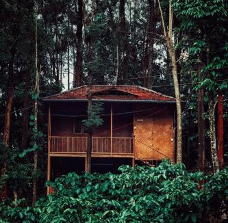 Kottappadi part Resort | Mahout Resort Wayanad - An Experiential Jungle Stay with Waterfall