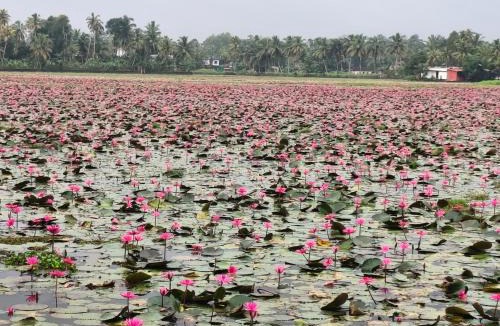 Kumarakom House | Mango Kerala Homes