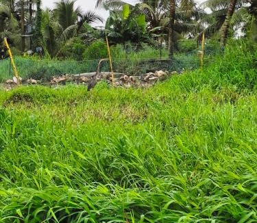 Kumarakom House | Mango Kerala Homes