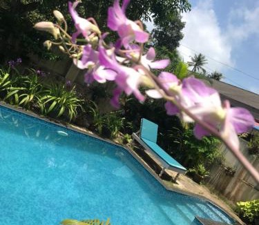 Mararikulam House | Marari Dreamz Homestay