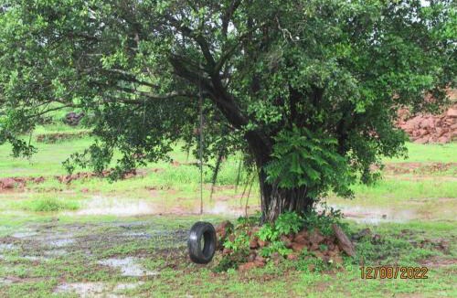 Tural House | MARS Jungle Adventure Stud Farm with Private Jacuzzi