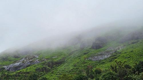 Elappara Resort | Montessa Valley