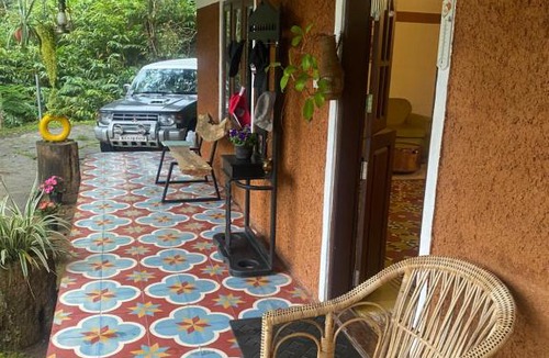 Pirmed Bed & Breakfast | Morley’s Place Planters Club