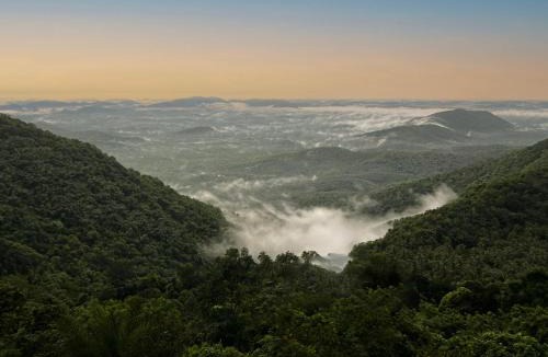 Quilandi Resort | Mount Stratus Resort Vayalada