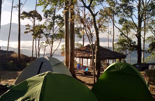 Suryanelli Bed & Breakfast | Munnar Jungle Camp