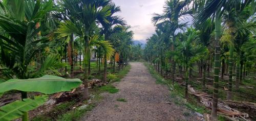 Karunya Nagar House | Murthi's Farm House