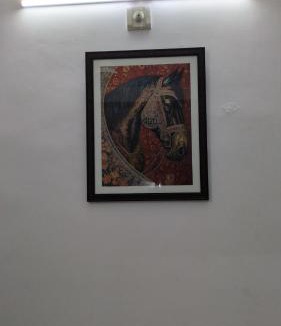 Udaipur City Centre House | Nandini Paying Guest House