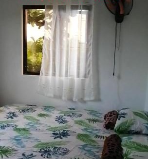 Luna Resort | Native Rooms