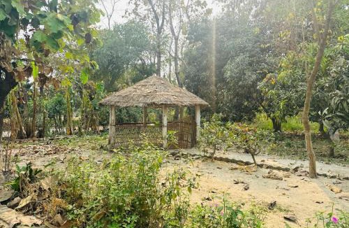 Maharajganj House | Nature View Homestay