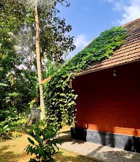 Chirayinkil Villa | Nellu - Tranquil Pool Villa & Organic Farmstay near Varkala