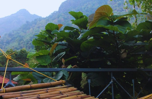 Malappuram House | Nilambu Homestay