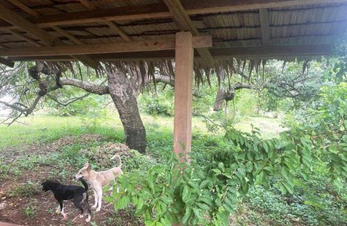 Lazi House | not possible