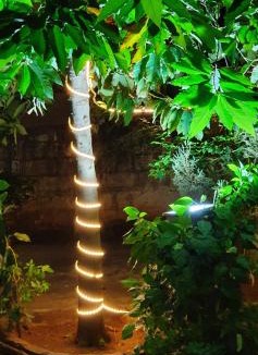 Courtallam Apartment | Oonjal Veedu-Renovated Recently