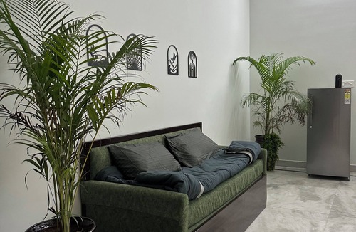 Jaipur House | Owee Stays Jaipur – Cozy 1BHK Homestay with Plants, Books & Modern Comforts