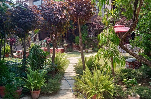Bullawala Villa | Oxygen home stay in Dehradun