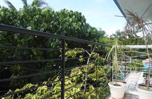 Basdiot Hotel | Pacifico Seaside Lodge