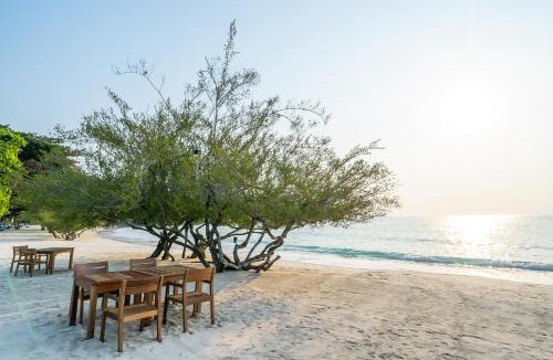Rayong Resort | Paradee