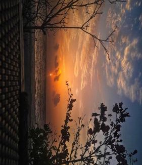 Alappuzha Apartment | Paradise beach homestay