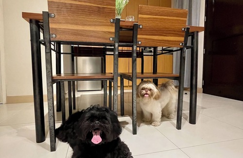 Davao Condo | Pet Friendly 2BR Condo with PS4 near Abreeza Mall