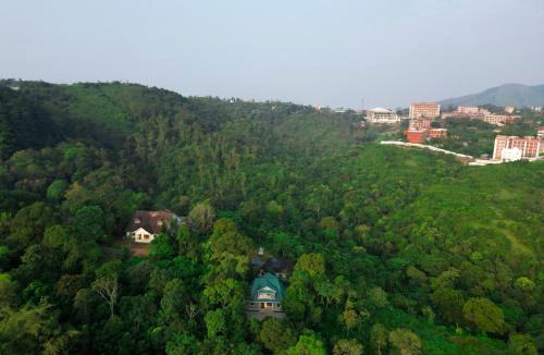 Peermade Villa | Pine Escape By Cluster Cloud