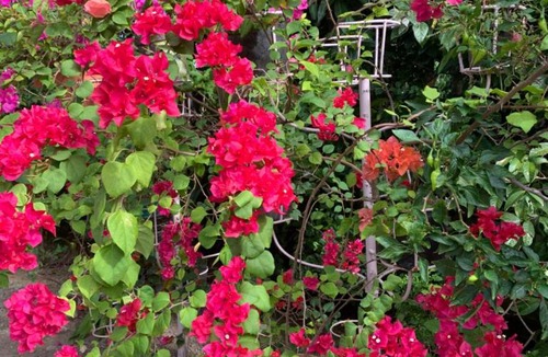 Dipolog House | Powers Holiday vacations