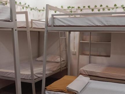 Udaipur City Centre Hostel | Pranam Dormitory