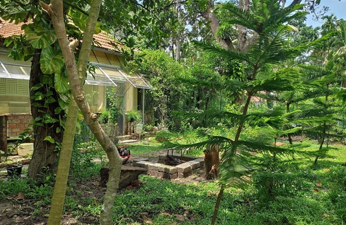 Pattanakkad House | Premium home stay with in-house Ayurveda body massage