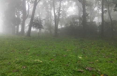 Thekkady Resort | Private room ∙ 2 guests