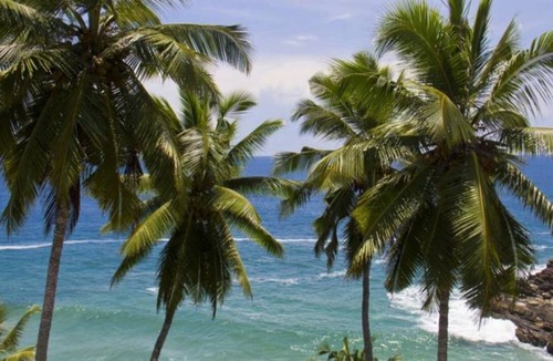 Kovalam Resort | Private room ∙ 2 guests