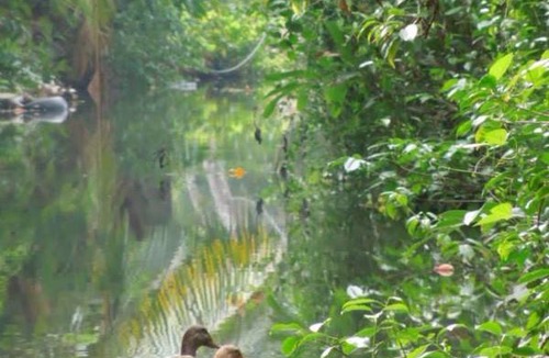 Kumbalam Resort | Private room ∙ 2 guests