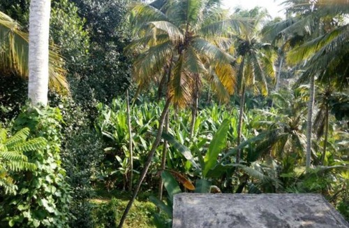 Kazhakuttam Resort | Private room ∙ 2 guests