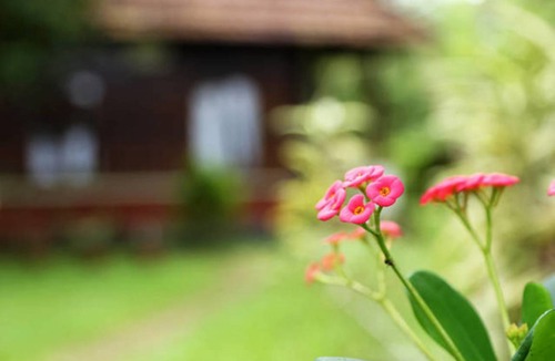 Andhakaranazhy Resort | Private room ∙ 3 guests